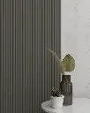 SWP05_gray_Y32.webp