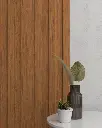 WP01_teak_113.webp