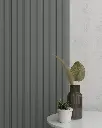 WP04A_dark-gray_Y24.webp